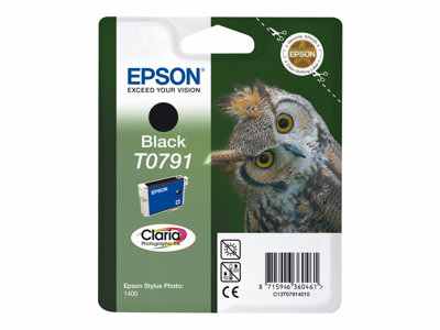 Epson T0791